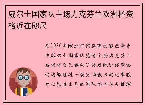 威尔士国家队主场力克芬兰欧洲杯资格近在咫尺